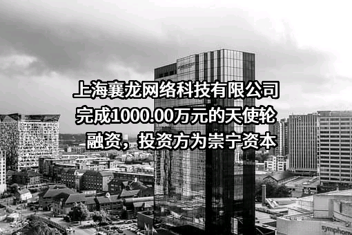 上海襄龙网络科技有限公司完成1000.00万元的天使轮融资，投资方为崇宁资本