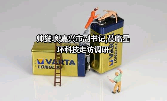 星环信息科技（上海）股份有限公司