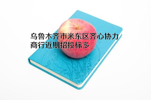 乌鲁木齐市米东区齐心协力商行