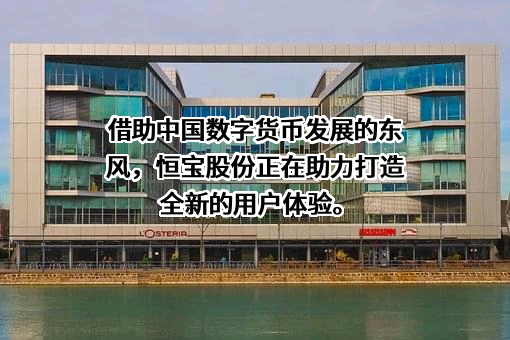 恒宝股份有限公司