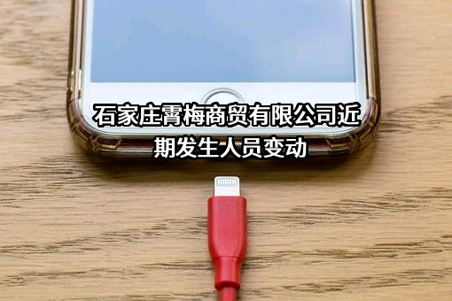 石家庄霄梅商贸有限公司