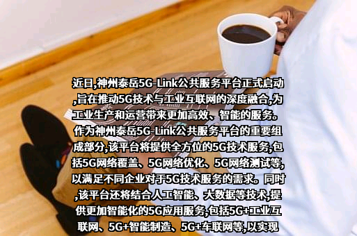 北京神州泰岳软件股份有限公司