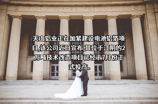 天山铝业集团股份有限公司