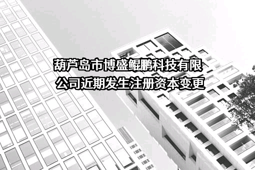 葫芦岛市博盛鲲鹏科技有限公司