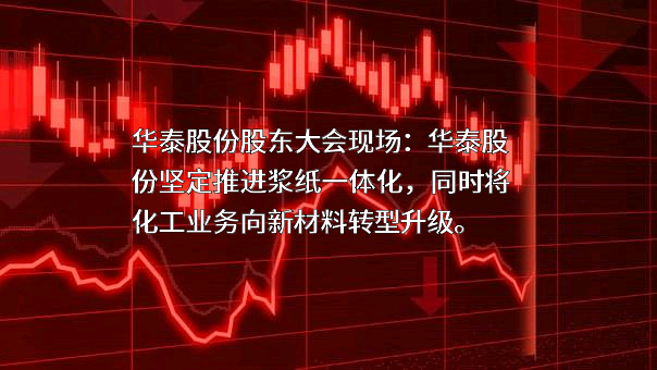 山东华泰纸业股份有限公司