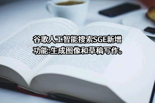 谷歌信息技术（中国）有限公司