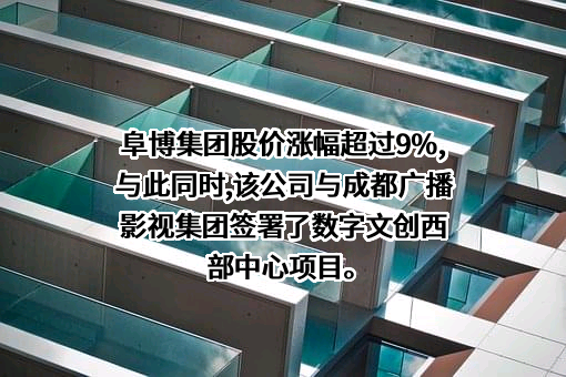 阜博集团有限公司