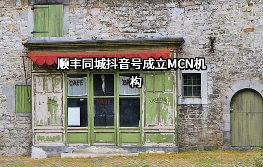 深圳市顺丰同城物流有限公司