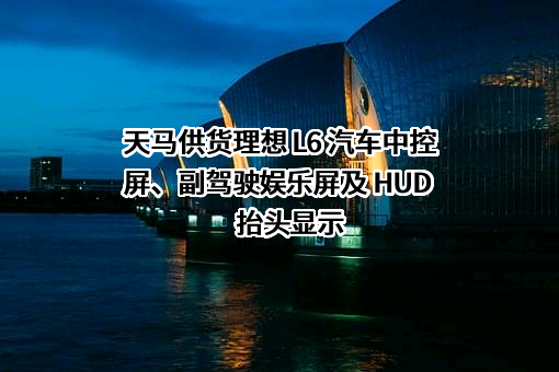 厦门天马微电子有限公司
