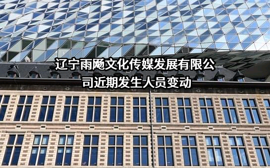 辽宁雨飏文化传媒发展有限公司