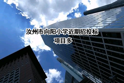 汝州市向阳小学近期招投标项目多