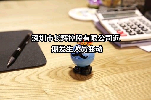 深圳市长辉控股有限公司