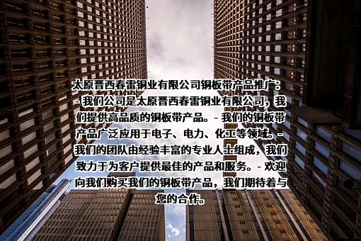太原晋西春雷铜业有限公司