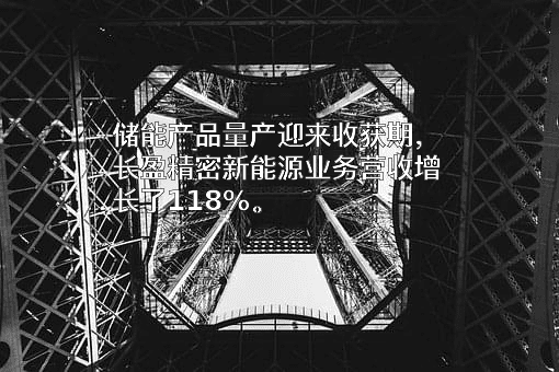 深圳市长盈精密技术股份有限公司