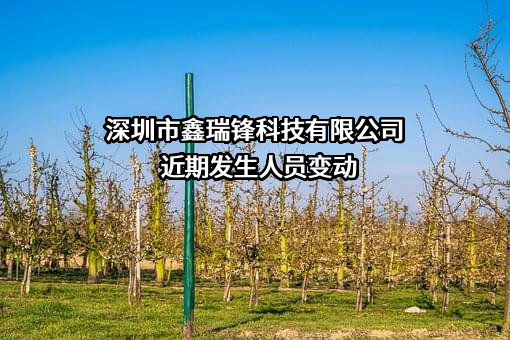 深圳市鑫瑞锋科技有限公司