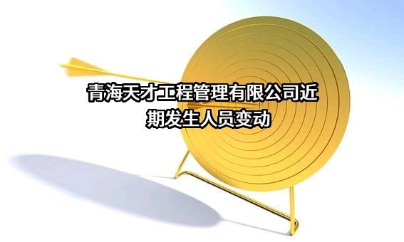 青海天才工程管理有限公司