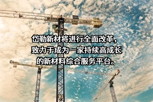 长沙岱勒新材料科技股份有限公司