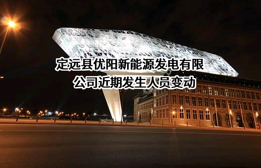 定远县优阳新能源发电有限公司