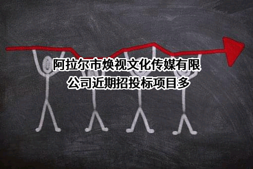 阿拉尔市焕视文化传媒有限公司
