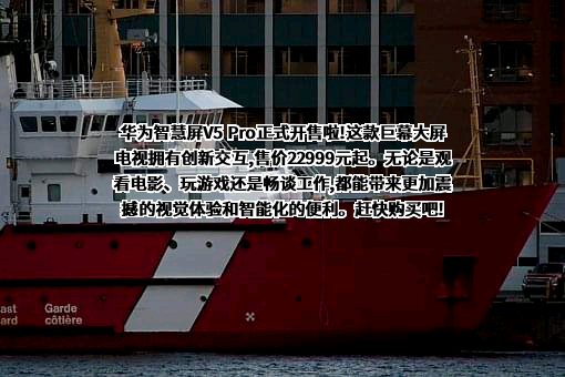 华为技术有限公司