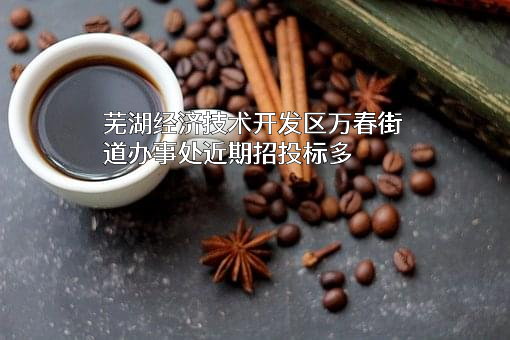 芜湖经济技术开发区万春街道办事处