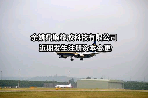 余姚鼎顺橡胶科技有限公司