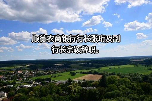 广东顺德农村商业银行股份有限公司