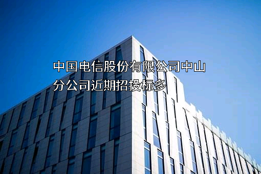 中国电信股份有限公司中山分公司