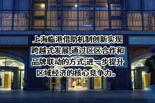 上海临港控股股份有限公司