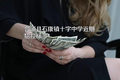 合浦县石康镇十字中学