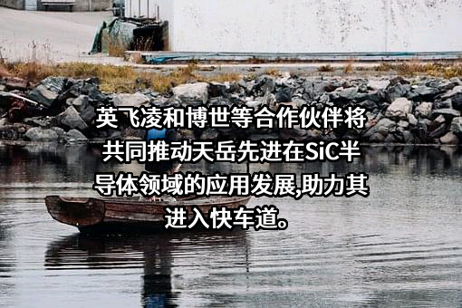 山东天岳先进科技股份有限公司