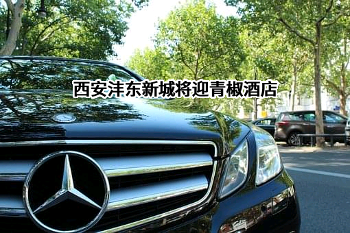 中星保盈（广州）商业管理有限公司