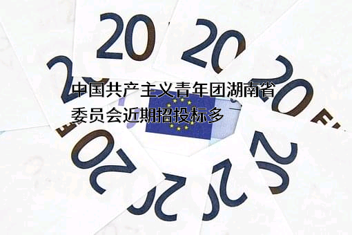 中国共产主义青年团湖南省委员会近期招投标项目多