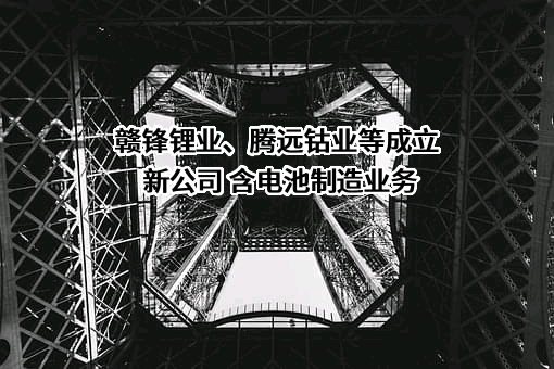 赣州腾远钴业新材料股份有限公司