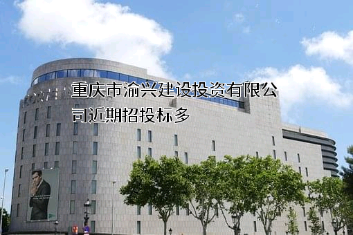 重庆市渝兴建设投资有限公司