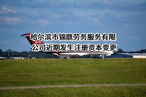 哈尔滨市锦鼎劳务服务有限公司