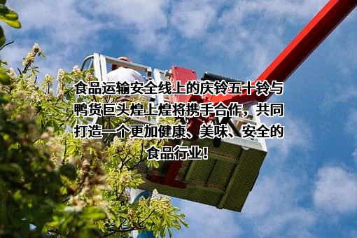 庆铃五十铃（重庆）汽车销售服务有限公司