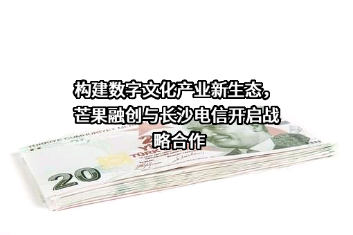 中国电信股份有限公司长沙分公司