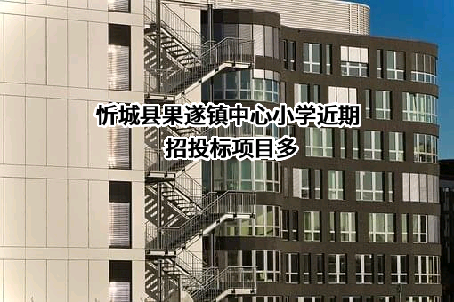 忻城县果遂镇中心小学