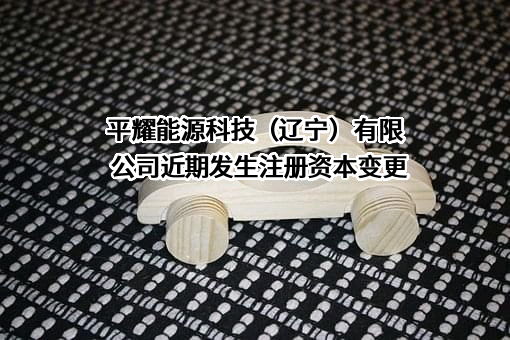 平耀能源科技（辽宁）有限公司