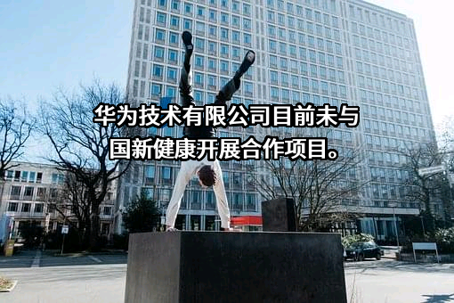 国新健康保障服务集团股份有限公司
