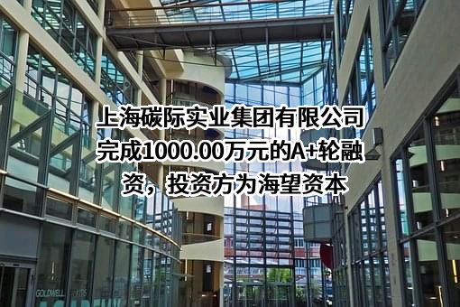 上海碳际实业集团有限公司