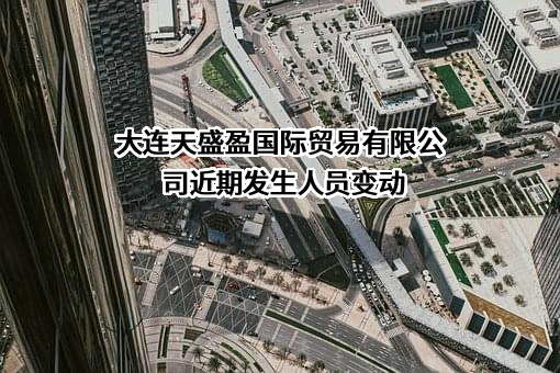 大连天盛盈国际贸易有限公司