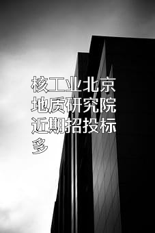 核工业北京地质研究院