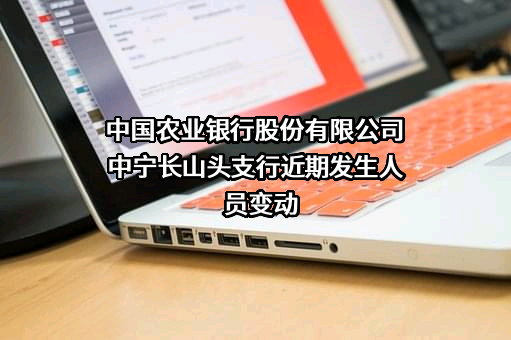 中国农业银行股份有限公司中宁长山头支行