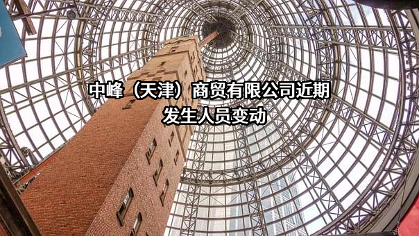 中峰（天津）商贸有限公司