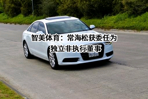 智美体育集团