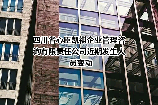 四川省心臣凯祺企业管理咨询有限责任公司