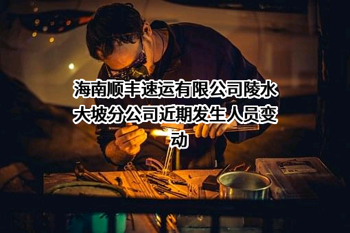 海南顺丰速运有限公司陵水大坡分公司