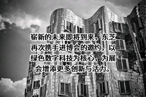 东芝（中国）有限公司